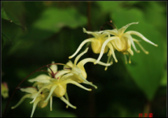 ����޽��ȡ��