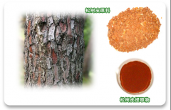 Pine Bark Extract